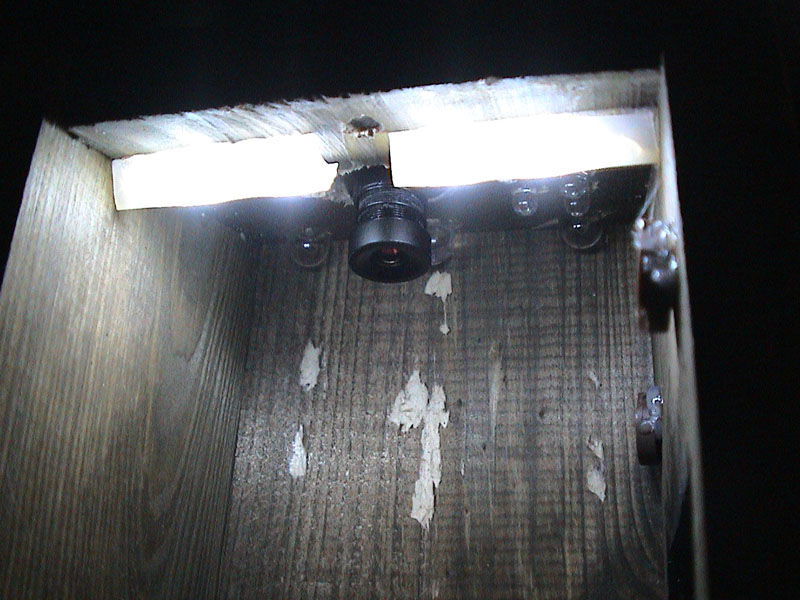 DSC00051
