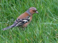 KG051708