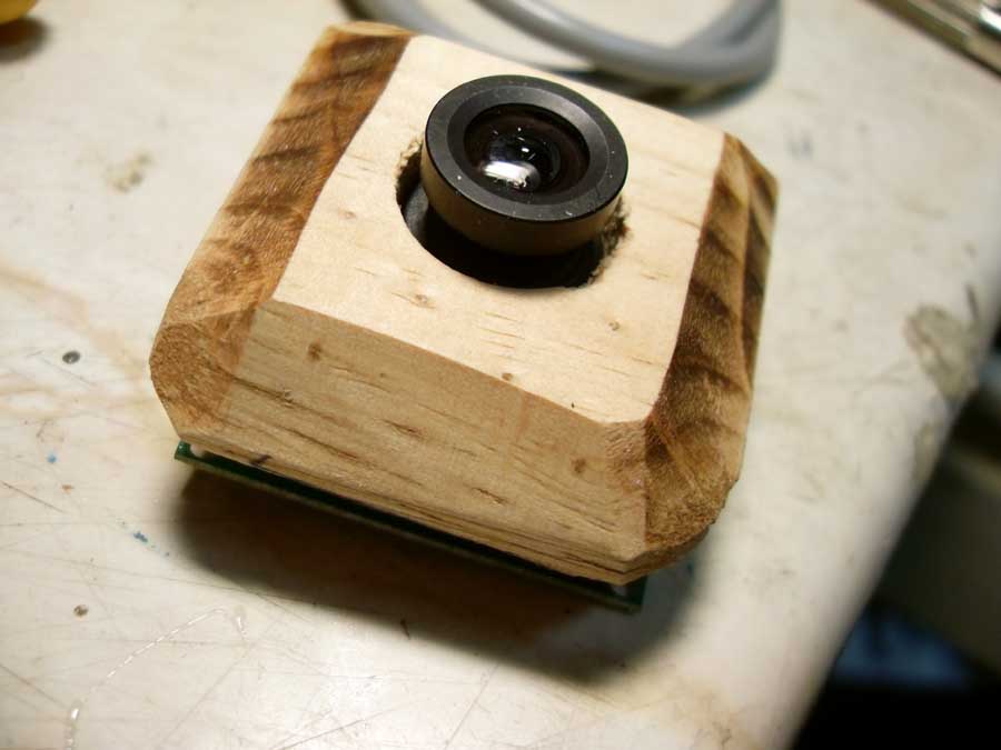 SDC10876 side camera protection from bird beak
