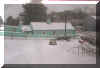 snow.jpg (62455 bytes)