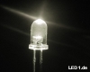 SPECIAL OFFER! LED 5mm warm white 20000mcd - 50 St�ck