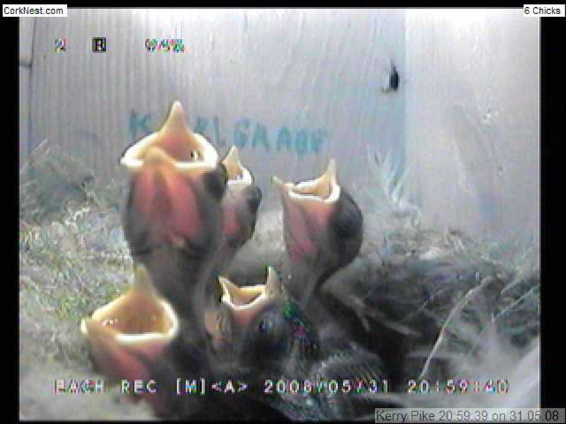 e530may08ReachingUP